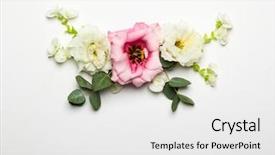  Presentation with festive - Slides with memories birthday - festive flower composition background and a white colored foreground