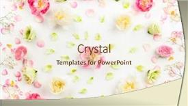 Presentation with border flower - Cool new slide set with memories birthday - festive flower concept beautiful floral backdrop and a cream colored foreground