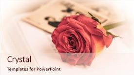  Presentation with memory book - Slide deck consisting of view of a park bench at the riverdale park east in toronto canada background and a violet colored foreground