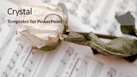  Presentation with memory book - PPT layouts featuring memory book romance - white dry rose is lying background and a lemonade colored foreground