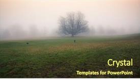  Presentation with autumn morning - Presentation theme featuring memory lane - lonely tree surrounded by thick background and a tawny brown colored foreground