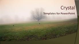  Presentation with autumn morning - Colorful PPT theme enhanced with memory lane - lonely tree surrounded by thick backdrop and a lemonade colored foreground