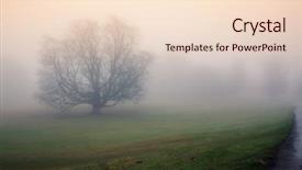  Presentation with autumn morning - PPT theme with memory lane - lonely tree surrounded by thick background and a lemonade colored foreground