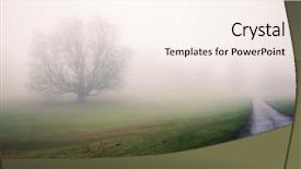  Presentation with autumn morning - Presentation featuring memory lane - lonely tree surrounded by thick background and a cream colored foreground