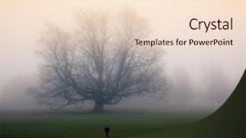  Presentation with autumn morning - Presentation with memory lane - lonely tree surrounded by thick background and a lemonade colored foreground