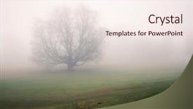  Presentation with autumn morning - Beautiful presentation featuring memory lane - lonely tree surrounded by thick backdrop and a sky blue colored foreground