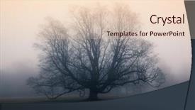  Presentation with fog network - Colorful slides enhanced with memory lane - lonely tree surrounded by thick backdrop and a lemonade colored foreground