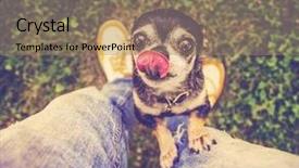  Presentation with summer time - Presentation theme enhanced with  background and a  colored foreground