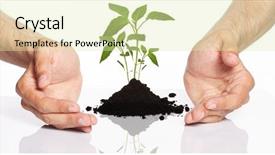  Presentation with holding hands - Colorful slides enhanced with men holding a plant backdrop and a soft green colored foreground