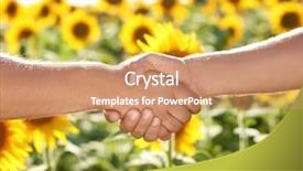  Presentation with shaking hands - Presentation theme with men shaking hands in sunflower background and a coral colored foreground