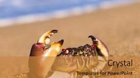  Presentation with eyes - PPT layouts enhanced with menacing eyes by the sea background and a  colored foreground