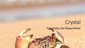  Presentation with biology - Presentation design enhanced with menacing eyes pure threat background and a lemonade colored foreground