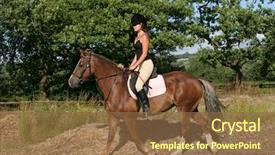  Presentation with horse riding - Theme having menagement - young woman in riding gear background and a  colored foreground