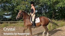  Presentation with horse riding - Colorful PPT theme enhanced with menagement - young woman in riding gear backdrop and a  colored foreground