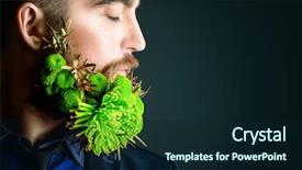  Presentation with green fashion - Colorful slide set enhanced with mens fashion - profile of a handsome man backdrop and a wine colored foreground