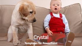 Presentation with down syndrome - PPT theme consisting of mental health disorder - dog and young boy background and a tawny brown colored foreground