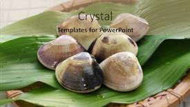  Presentation with japanese food - Theme enhanced with meretrix-lamarckii-chousen-hamaguri-japanese background and a coral colored foreground