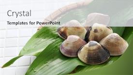  Presentation with japanese food - Amazing PPT layouts having meretrix-lamarckii-chousen-hamaguri-japanese backdrop and a sky blue colored foreground