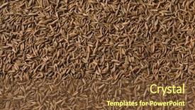  Presentation with seeds - Colorful presentation design enhanced with dried organic caraway seeds full backdrop and a tawny brown colored foreground