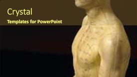  Presentation with acupuncture - PPT layouts featuring meridian lines on an acupuncture figurine background and a tawny brown colored foreground