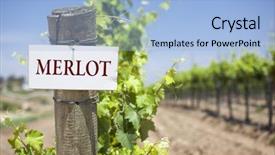  Presentation with post consumer recycling - Beautiful presentation featuring merlot sign on post backdrop and a light blue colored foreground