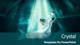  Presentation with mermaid - Colorful slide set enhanced with mermaid in fishing nets underwater backdrop and a ocean colored foreground