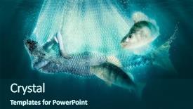 Presentation with mermaid - Slide deck having mermaid in fishing nets underwater background and a ocean colored foreground
