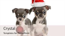  Presentation with happy new year - PPT theme with merry christmas and happy new background and a lemonade colored foreground