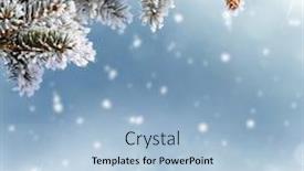 Presentation with winter landscape winter tree - Amazing presentation theme having merry christmas and happy new year greeting card winter landscape with snow christmas background with fir tree branch and cones backdrop and a light blue colored foreground