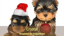  Presentation with merry christmas and new year - Audience pleasing PPT theme consisting of merry christmas and happy new year backdrop and a tawny brown colored foreground