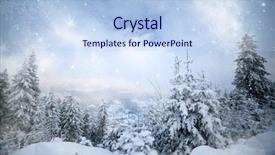  Presentation with cristmas - Amazing PPT layouts having merry cristmas - trees covered with hoarfrost backdrop and a  colored foreground