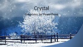  Presentation with cristmas - Slides featuring merry cristmas - trees covered with hoarfrost background and a  colored foreground