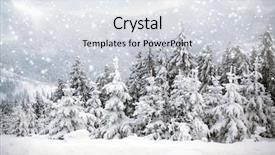  Presentation with cristmas - Amazing slides having merry cristmas - trees covered with hoarfrost backdrop and a  colored foreground