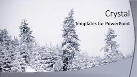  Presentation with cristmas - PPT theme having merry cristmas - trees covered with hoarfrost background and a  colored foreground