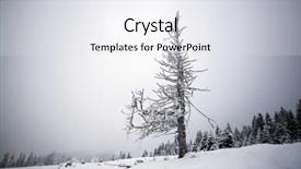  Presentation with cristmas - Slide deck enhanced with merry cristmas - trees covered with hoarfrost background and a  colored foreground