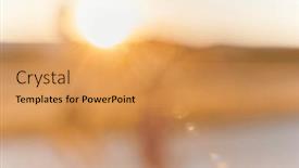  Presentation with golden light - Presentation theme featuring mesmerizing-beauty-of-a-hazy background and a yellow colored foreground