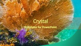  Presentation with coral reef - Colorful PPT theme enhanced with mesoamerica - gorgonian coral great mayan reef backdrop and a tawny brown colored foreground