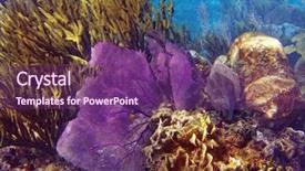  Presentation with maya - Presentation theme enhanced with mesoamerica - gorgonian coral great mayan reef background and a violet colored foreground