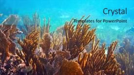  Presentation with coral reef - PPT layouts with mesoamerica - gorgonian coral great mayan reef background and a cyan colored foreground