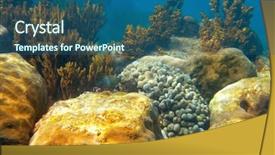  Presentation with maya - Colorful slides enhanced with mesoamerican barrier great mayan reef backdrop and a ocean colored foreground