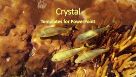  Presentation with maya - PPT layouts with mesoamerican barrier great mayan reef background and a tawny brown colored foreground