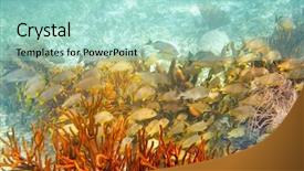  Presentation with maya - Audience pleasing PPT layouts consisting of mesoamerican barrier great mayan reef backdrop and a mint green colored foreground