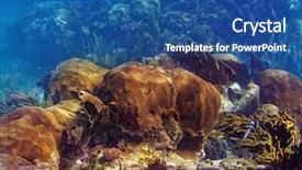  Presentation with mesoamerica - Cool new slide deck with mesoamerican barrier great mayan reef backdrop and a ocean colored foreground