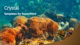  Presentation with maya - PPT theme enhanced with mesoamerican barrier great mayan reef background and a ocean colored foreground