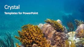  Presentation with mesoamerica - Amazing PPT layouts having mesoamerican barrier great mayan reef backdrop and a gray colored foreground