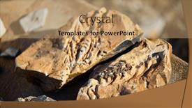  Presentation with fossil - PPT theme having mesosaurus fossil in africa namibia background and a coral colored foreground