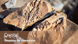  Presentation with fossil - Presentation theme consisting of mesosaurus-fossil-in-africa-namibia background and a coral colored foreground