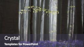  Presentation with new beginning - Beautiful presentation theme featuring message of hope and purity backdrop and a violet colored foreground