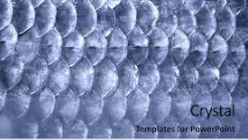  Presentation with fish scales - Colorful theme enhanced with metal blue fish scales toned backdrop and a teal colored foreground