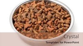  Presentation with dry - 